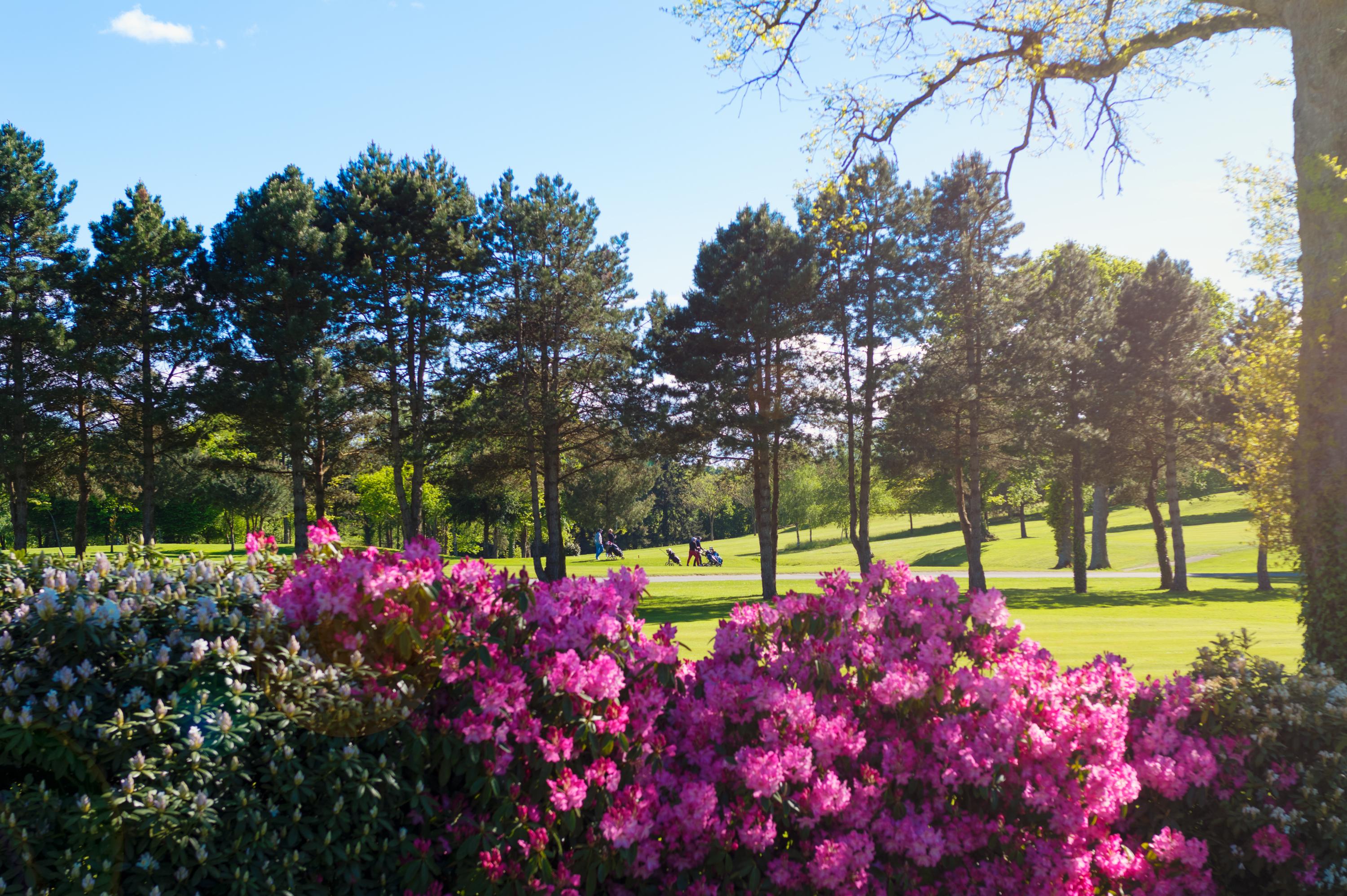 Saint Malo Golf Resort 르트롱쉐 외부 사진